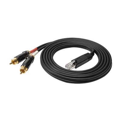 Cable d'àudio estèreo RJ45 mascle a 2 X RCA